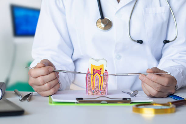Best 24-Hour Emergency Dental Care in Cashion, OK